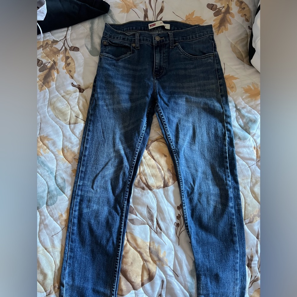 Blue levis 29x29